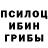Псилоцибиновые грибы Psilocybe Mr DANLOU