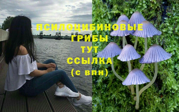 марки lsd Белоозёрский