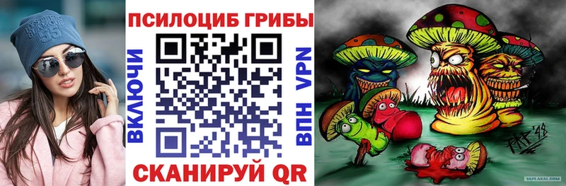 купить закладку  маркетплейс официальный сайт  Галлюциногенные грибы Psilocybine cubensis  Хабаровск 